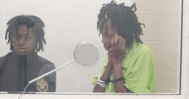 South Carolina woman accused in death of baby left in hot car released from jail on bond