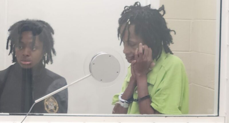 South Carolina woman accused in death of baby left in hot car released from jail on bond
