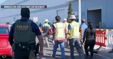 South Korea responds to Hyundai immigration raid