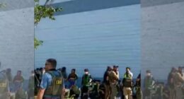 South Korean workers arrested during immigration raid at Hyundai site
