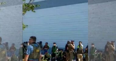 South Korean workers arrested during immigration raid at Hyundai site