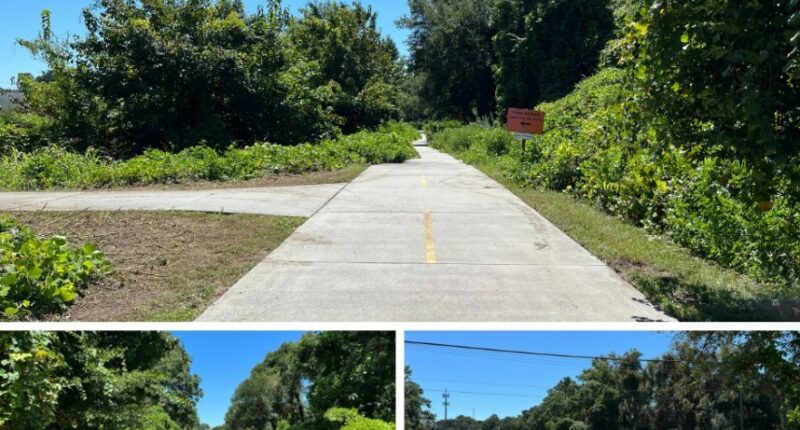 Spanish Moss Trail extension construction underway