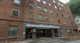 Sri Lankan mum 'too depressed to fly' wins key asylum claim row