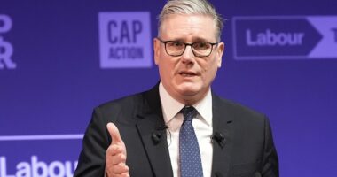 Starmer aide praises digital ID as petition against it hits 1.4m