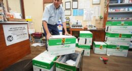 States move to protect vaccines in the face of attempts to remove mandates