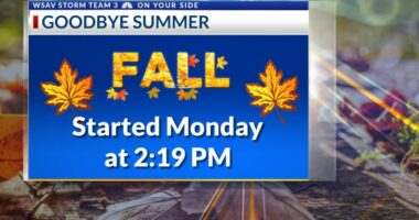 Storm Team 3: Warm, humid days ahead, tracking Gabrielle and more development