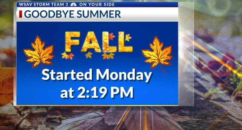 Storm Team 3: Warm, humid days ahead, tracking Gabrielle and more development