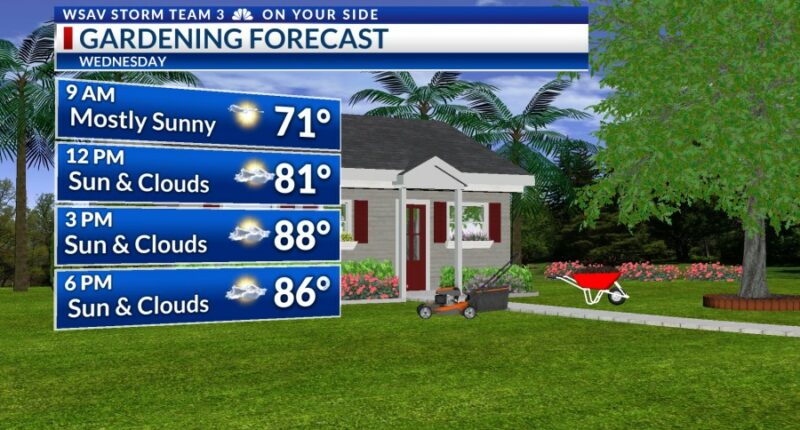 Storm Team 3: Warmer, more humid days ahead, Atlantic tropical development likely