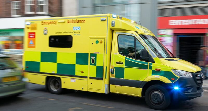 Stroke patients should not be tempted to make their own way to hospital despite ambulance delays, charity warns