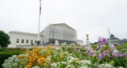 Supreme Court lifts limits on Los Angeles-area immigration stops