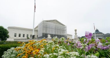 Supreme Court lifts limits on Los Angeles-area immigration stops