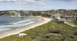 Surfer killed by a shark at popular Sydney beach