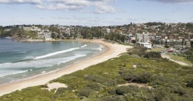 Surfer killed by a shark at popular Sydney beach