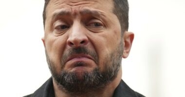Surprise: Putin Invites Zelensky to Meet, but in Moscow