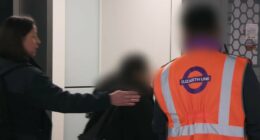 Suspected train fare dodger is snared after '£3,000 in unpaid tickets'