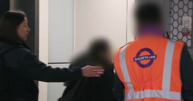 Suspected train fare dodger is snared after '£3,000 in unpaid tickets'