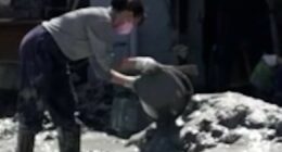 Taiwan begins cleaning up after Super Typhoon Ragasa