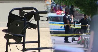 Teen fugitive arrested in NYC stray-bullet drug robbery shooting that killed 69-year-old grandmother: report