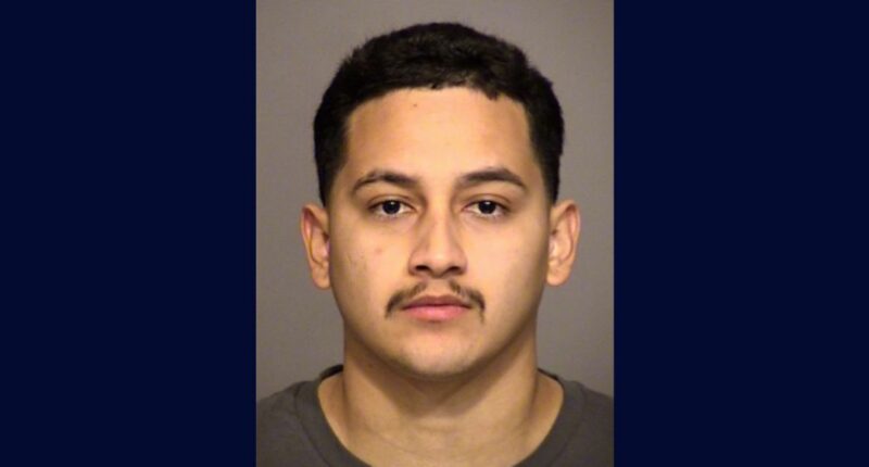 Teen went on crime spree including murder, robbery