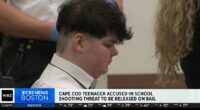 Teen with 3D printer 'capable' of making a gun posts bail