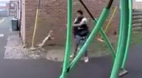 Teenager who 'tortured' cat by swinging it using a noose avoids prison