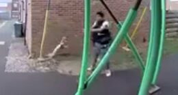 Teenager who 'tortured' cat by swinging it using a noose avoids prison