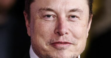 Tesla could make Elon Musk world's first trillionaire