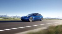 Tesla suffers huge market share loss as shoppers look to rivals