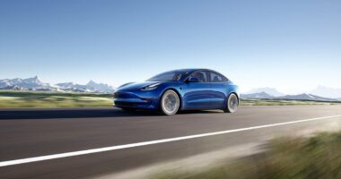 Tesla suffers huge market share loss as shoppers look to rivals