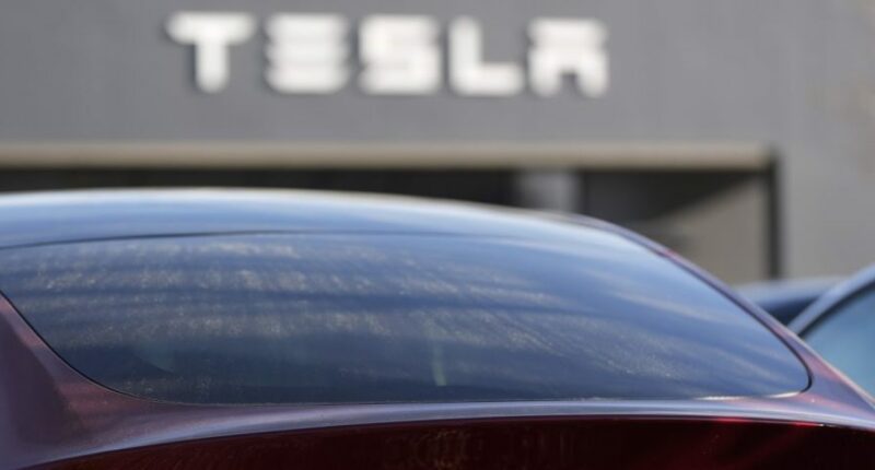 Tesla under investigation after parents say faulty door handles trapped kids