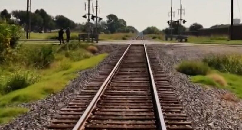 Tesla's self-driving mode may struggle near railroads