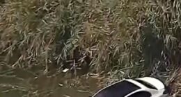Texas nanny's driving lesson goes horribly wrong