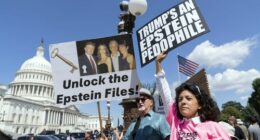 The other names in Jeffrey Epstein's 50th birthday book