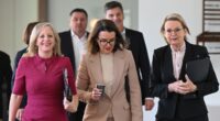 The party assassins after Sussan Ley after she sidelined Jacinta Price