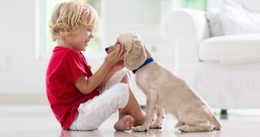 The surprising reason why growing up with dogs (and not cats) can be good for your health