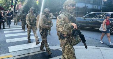 Things to know about federal law enforcement activity in Chicago, Portland, Memphis
