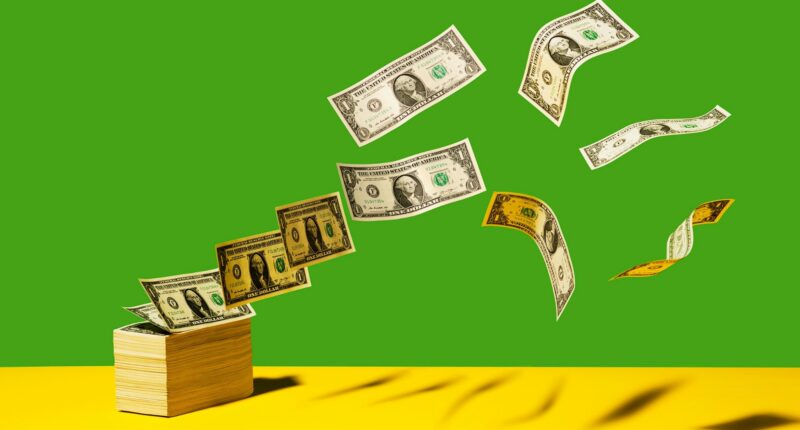 This Low-Cost Tool Can Help You Earn More From Your Side Hustle