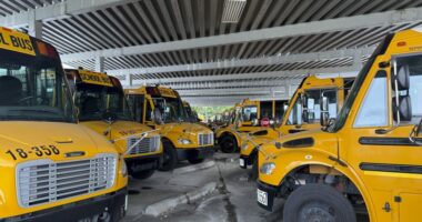 Thousands of Ohio students left without a school bus ride as private school transport expands