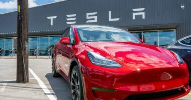 AUSTIN, TEXAS - MAY 31: A Tesla Model Y is seen on a Tesla car lot on May 31, 2023 in Austin, Texas. Tesla's Model Y has become the world's best selling car in the first quarter of 2023. (Photo by Brandon Bell/Getty Images)