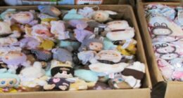 Thousands of counterfeit Labubu dolls seized at the border