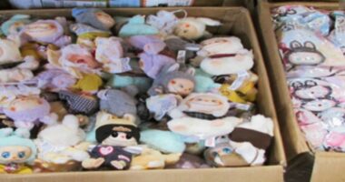 Thousands of counterfeit Labubu dolls seized at the border
