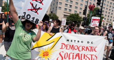 Thousands protest for a 'Free DC' on the fourth week of federal control in Washington