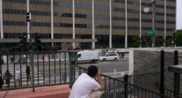 Three activists indicted for doxing ICE agent in Los Angeles