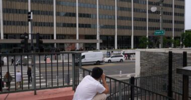 Three activists indicted for doxing ICE agent in Los Angeles