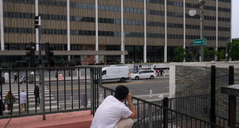 Three activists indicted for doxing ICE agent in Los Angeles
