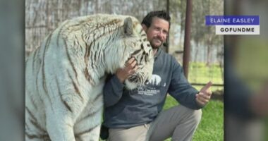 Tiger 'didn't want to kill' handler Ryan Easley, wildlife biologist says