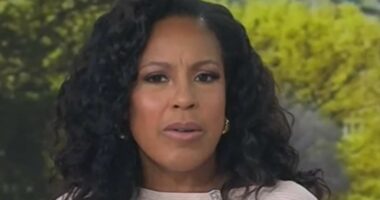 Today show's Sheinelle Jones reveals her son's painful injury