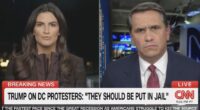 Todd Blanche mocked for defending Trump call for RICO probes