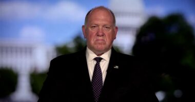 Tom Homan wants Gov. Pritzker to apologize over 'racial profiling' remark