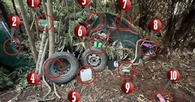 What police found at Tom Phillips's campsite: 1. Fuel drum 2. Concealed quad bike 3. Camouflage netting 4. Spare wheels 5. Water container 6. Two cans of Sprite 7. Concealed motorcycle 8. Children's lunch box and water bottle 9. Steel mug 10. Crushed Coke can